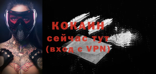 сатива Белокуриха