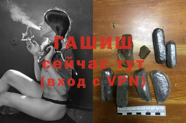 сатива Белокуриха