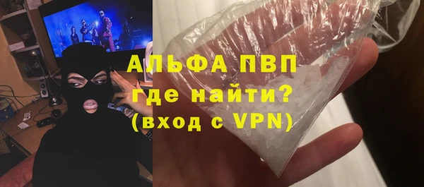 сатива Белокуриха