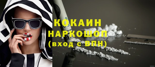 шишки Беломорск