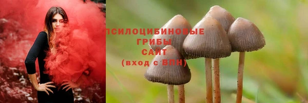 сатива Белокуриха