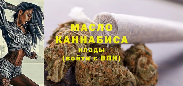 шишки Беломорск
