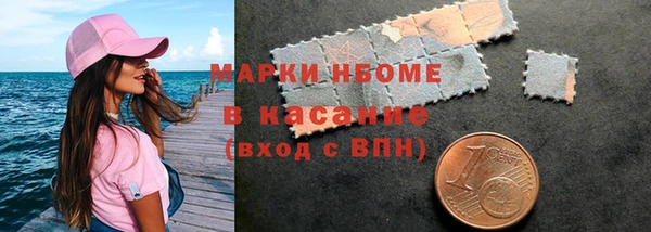 ECSTASY Пересвет