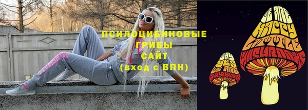 шишки Беломорск