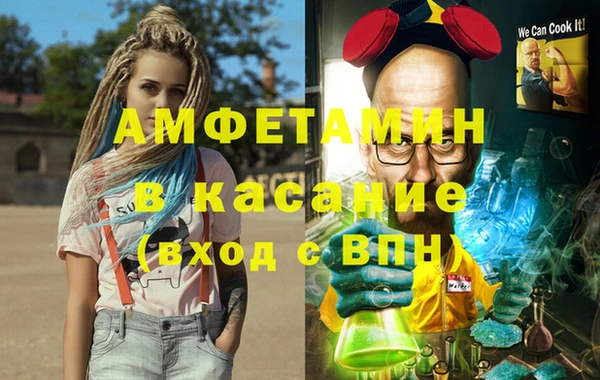 сатива Белокуриха