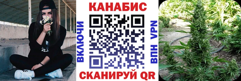 Конопля планчик Отрадное